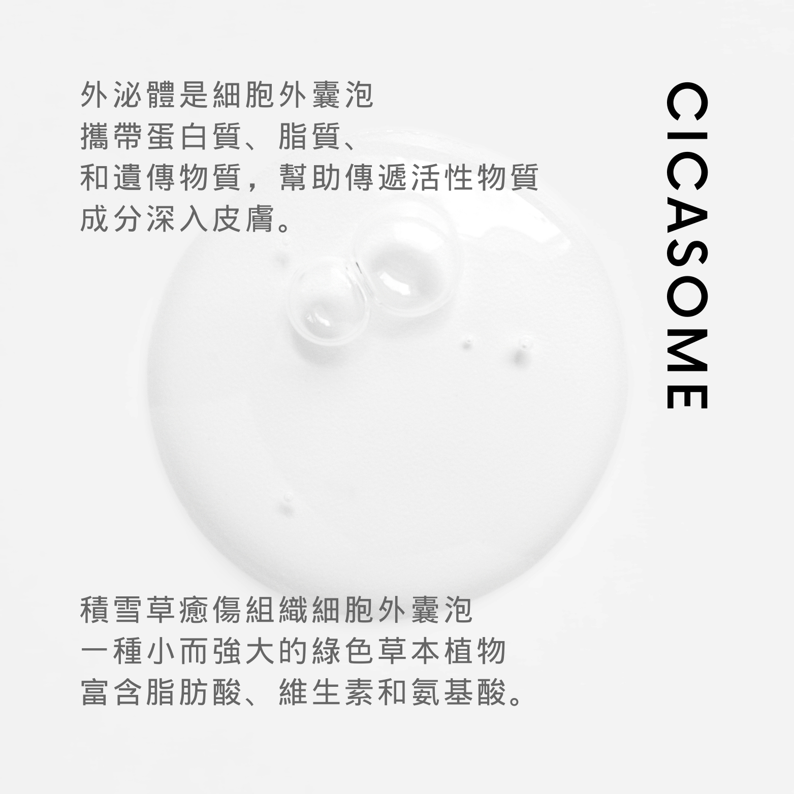 本頁圖片/檔案 - Cicasome - C1